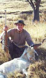 trophy horned goat